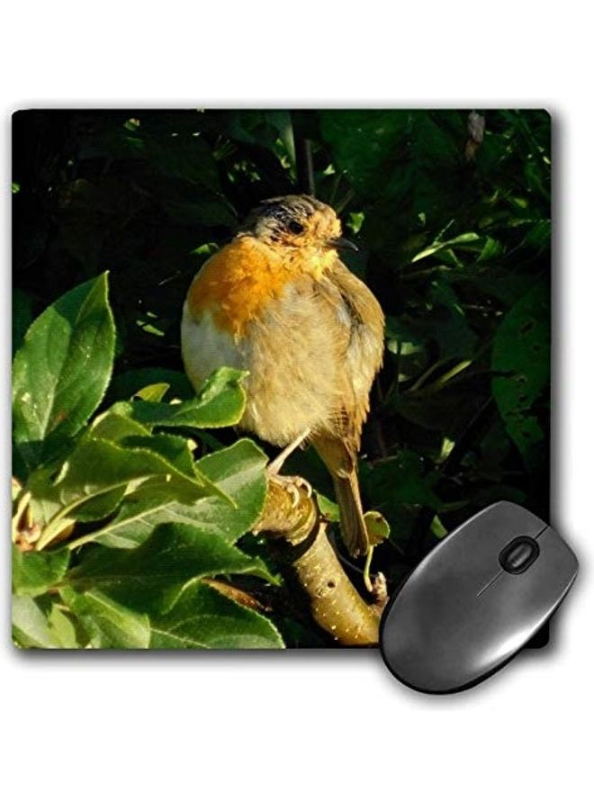 3DROSE English Robin In Late Summer Printed Mouse Pad Multicolour