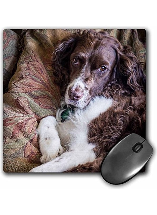 3DROSE English Springer Spaniel Printed Mouse Pad Multicolour