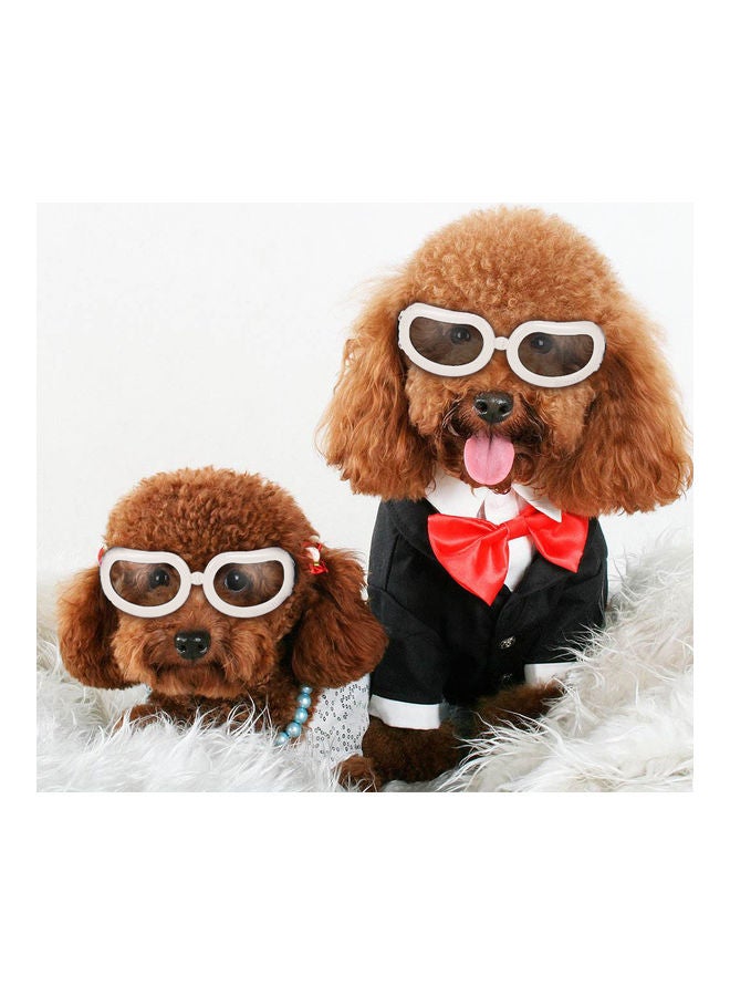 نظارة شمسية للكلاب والحيوانات الأليفة أبيض - Image 1