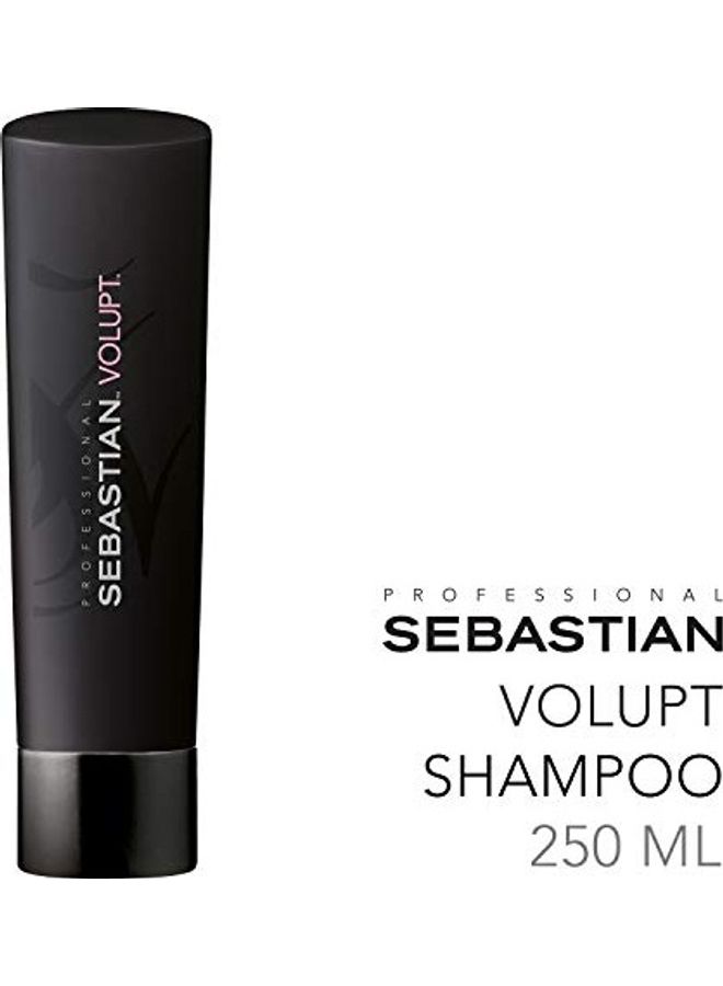 سيباستيان بروفيشنال شامبو فلابت 250ملليلتر - Image 2