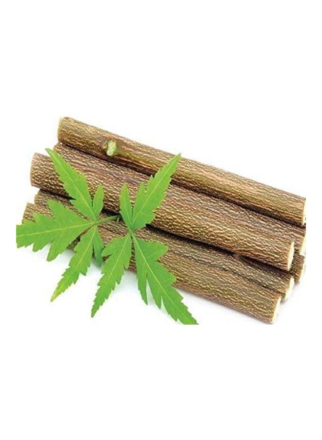 Good Quality Neem Wood Hair Comb Brown 1 x 1 x 1inch - Image 4