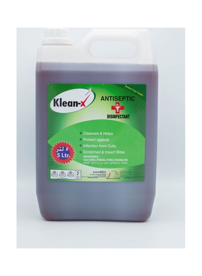 Klean-X Antiseptic Disinfectant 5Liters - Image 2