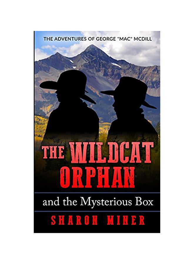 The Wildcat Orphan And The Mysterious Box paperback english - 01-Jan-2016 