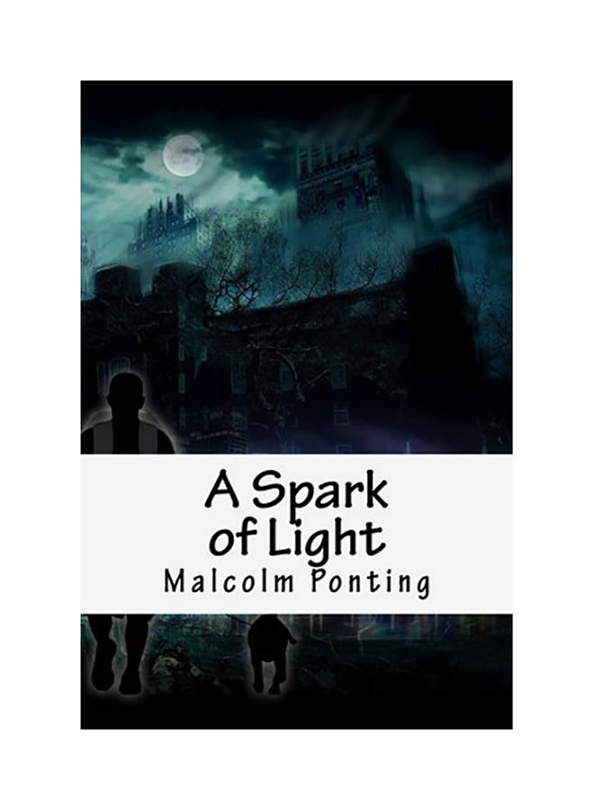 A Spark Of Light paperback english 