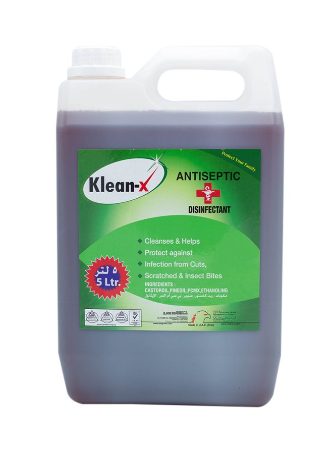 Klean-X Antiseptic Disinfectant 5Liters - Image 1