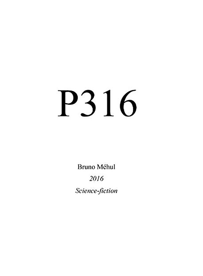 P316 Paperback English by Bruno Mehul 