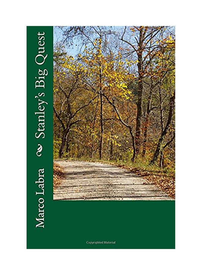 Stanley's Big Quest paperback english 