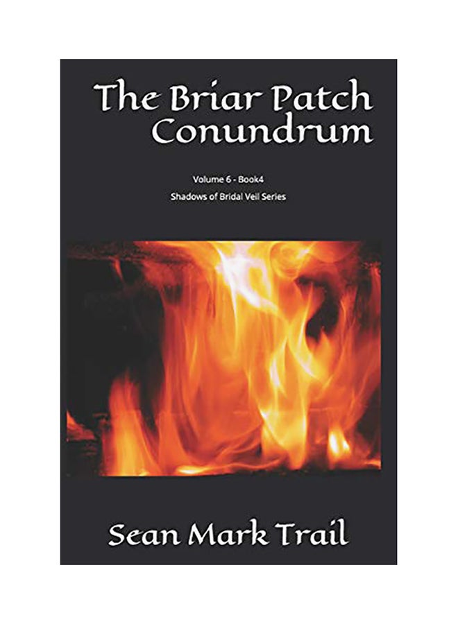 The Briar Patch Conundrum: Volume 6, Book 4: Shadows Of Bridal Veil Series paperback english 