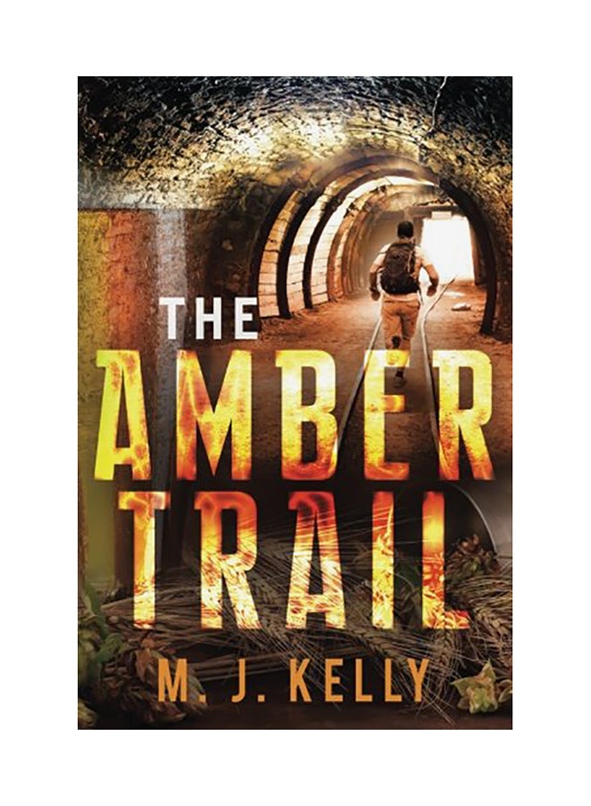 The Amber Trail paperback english