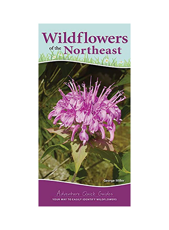 Wildflowers Of The Northeast: Your Way To Easily Identify Wildflowers paperback english 