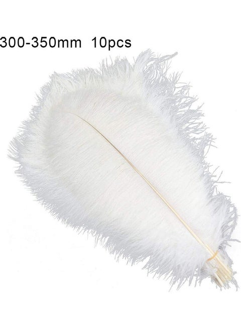 10-Piece Decorative Ostrich Feathers 1