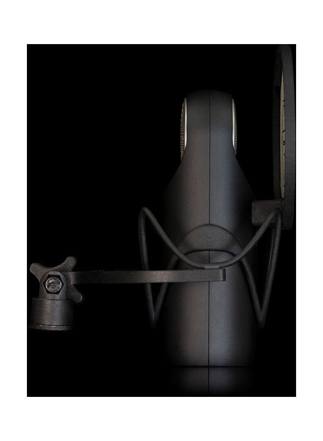 ASTON - Single Pattern Cardioid Microphone With Unique Capsule Technology - Image 1