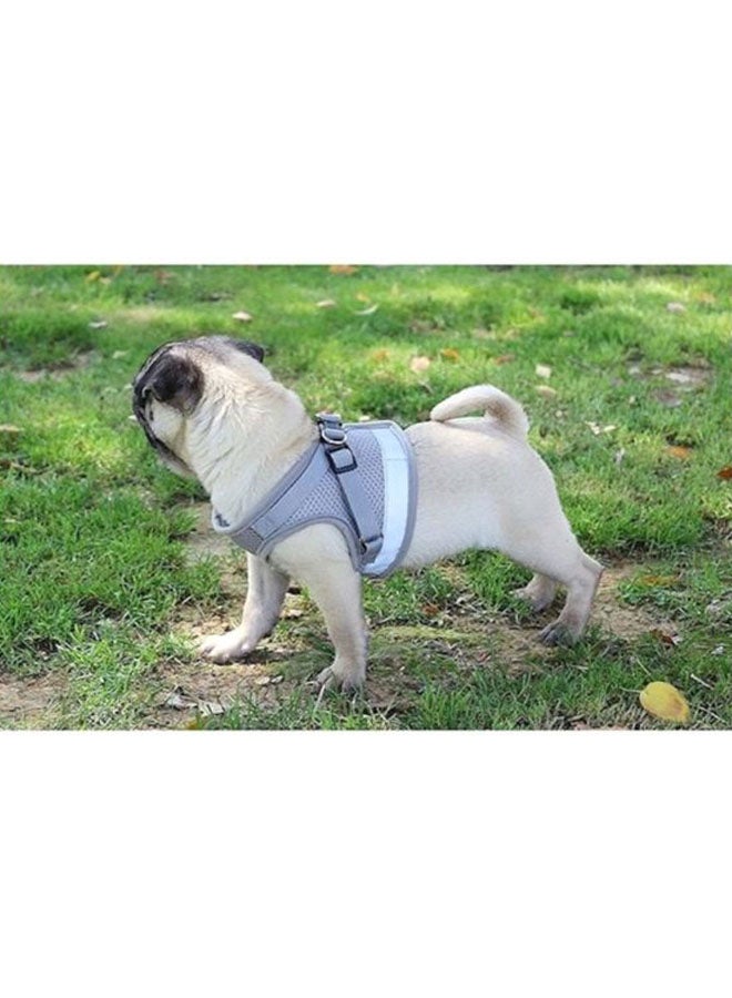 Reflective Chest Harness With Leash Grey Medium - Image 5
