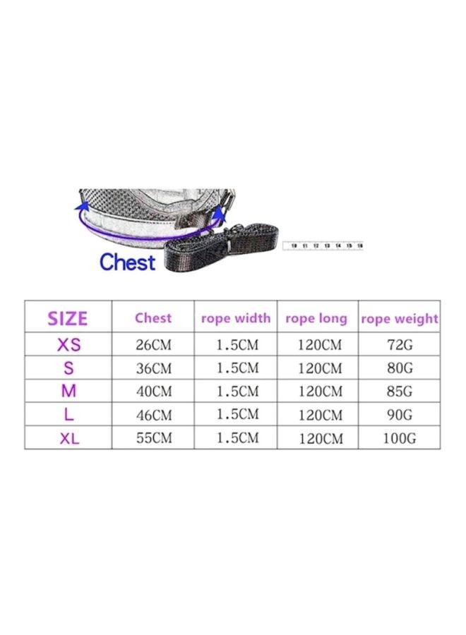 Generic Reflective Chest Harness With Leash Grey 100grams  - Image 5
