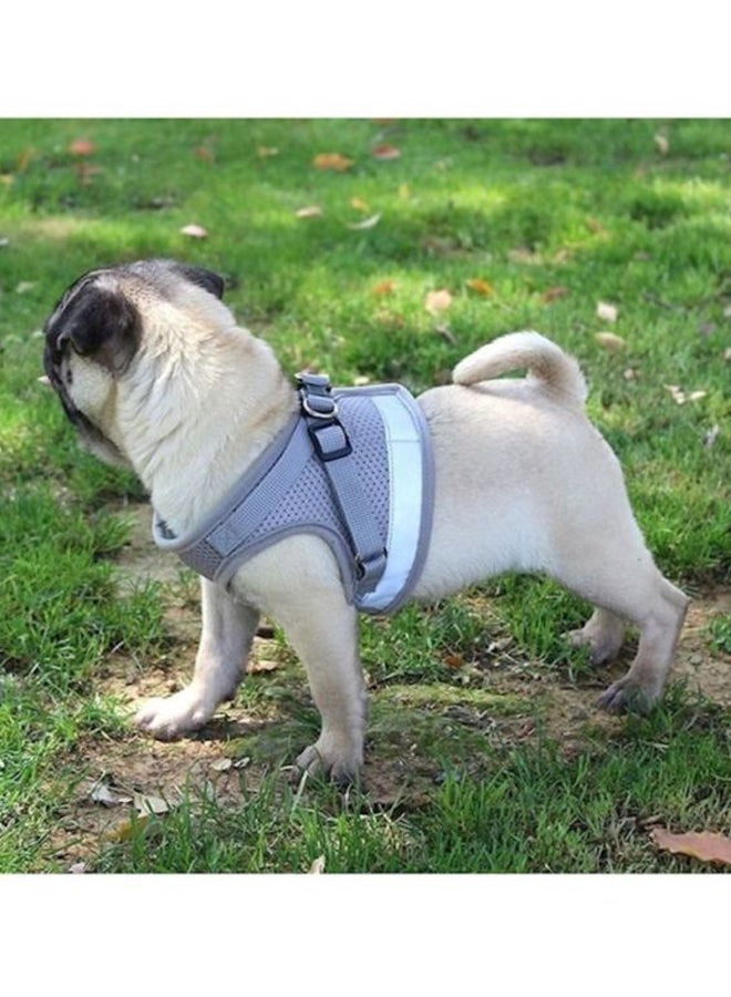 Generic Pet Safety Vest Harness Grey - Image 3