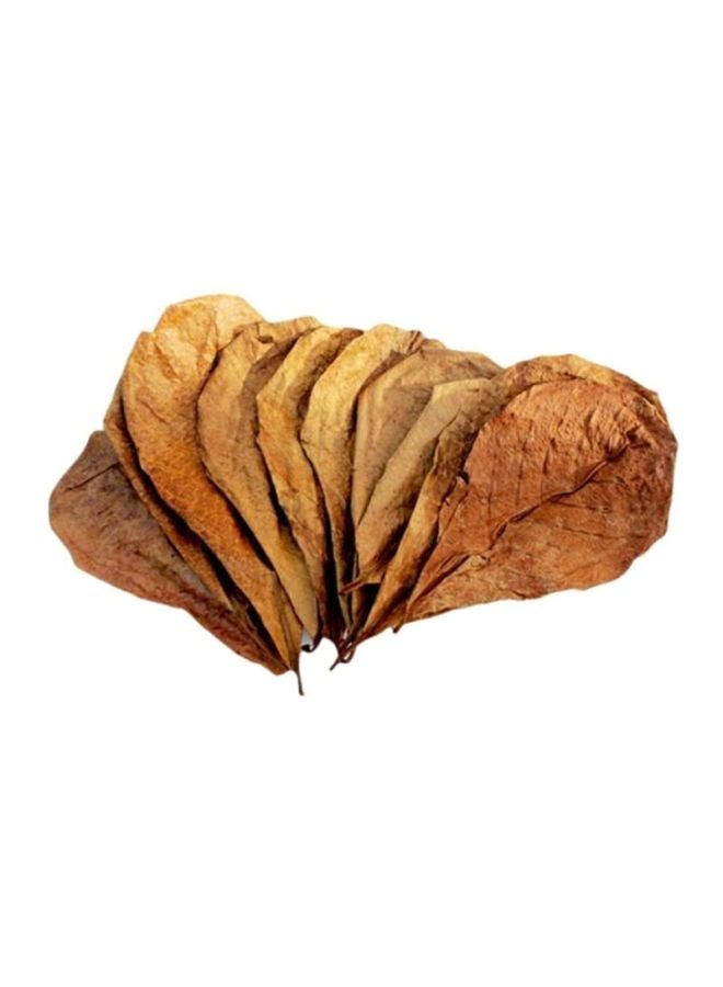 10 قطع من أوراق ترميناليا كاتابا فويتيدا الطبيعية بني 30جرام - Image 1