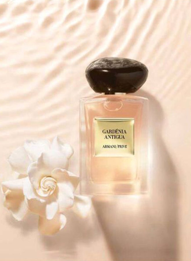 جورجيو أرماني عطر جاردينيا أنتيجوا EDT 100ملليلتر - Image 4