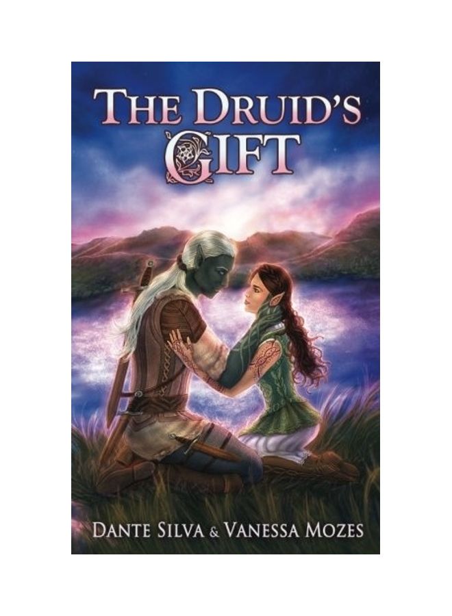 The Druid's Gift paperback english