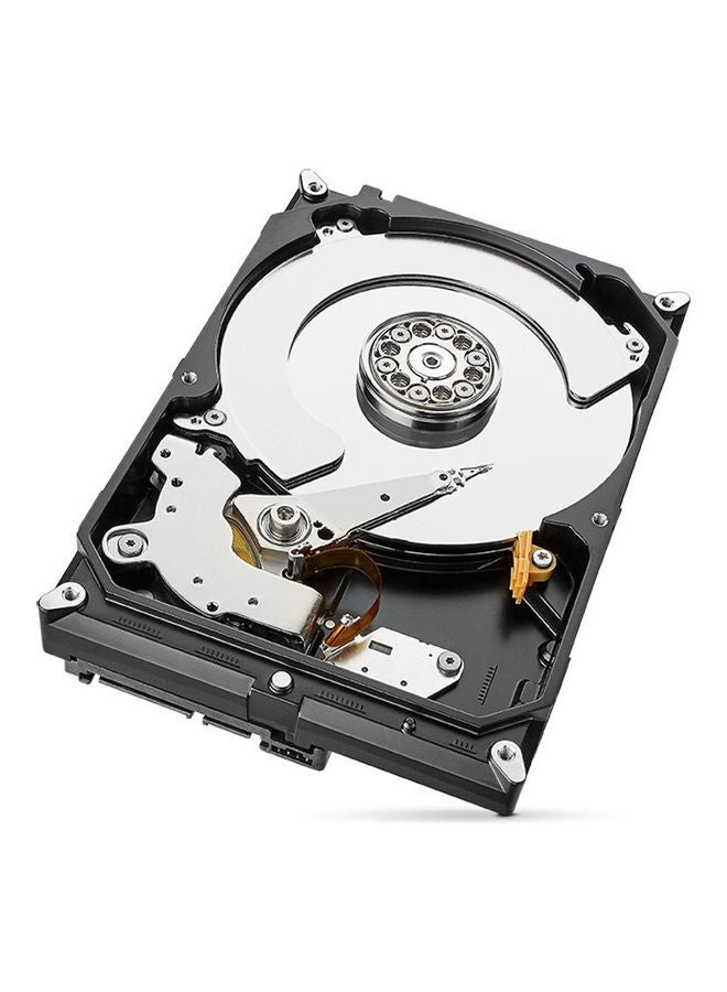 Seagate SkyHawk Surveillance HDD 3.5 inch SATA 6Gb/s 5900RPM 64MB Video Surveillance HDD Internal Hard Drive 4 TB  - Image 4