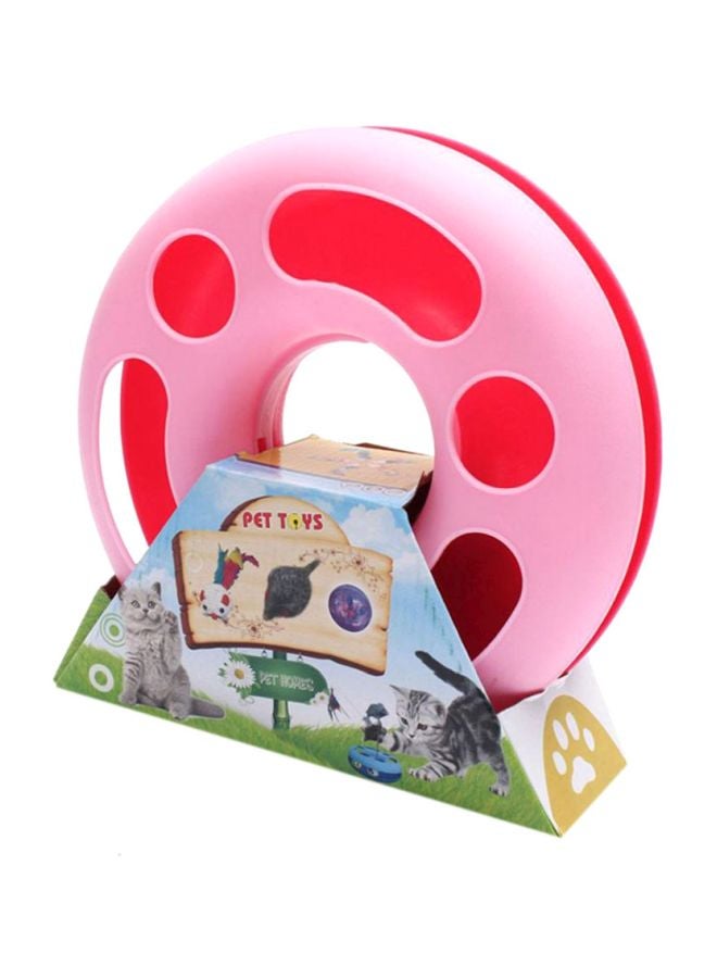 لعبة دائرية ممتعة مع كرة للقطط وردي