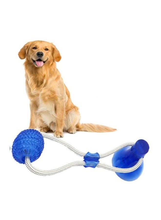 Multifunction Molar Bite Toy Blue/White 40x10cm - Image 2