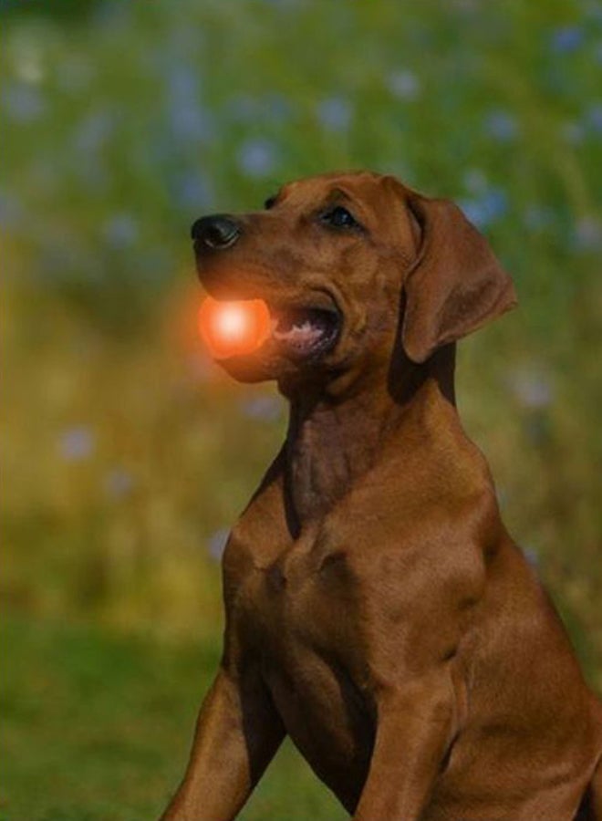 لعبة كرة عض تفاعلية للنشاط وردي L - Image 2