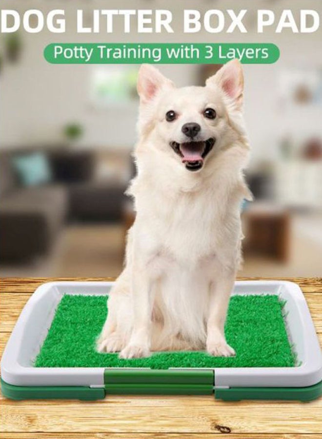 Generic Potty Training Pad Green/White  - Image 2