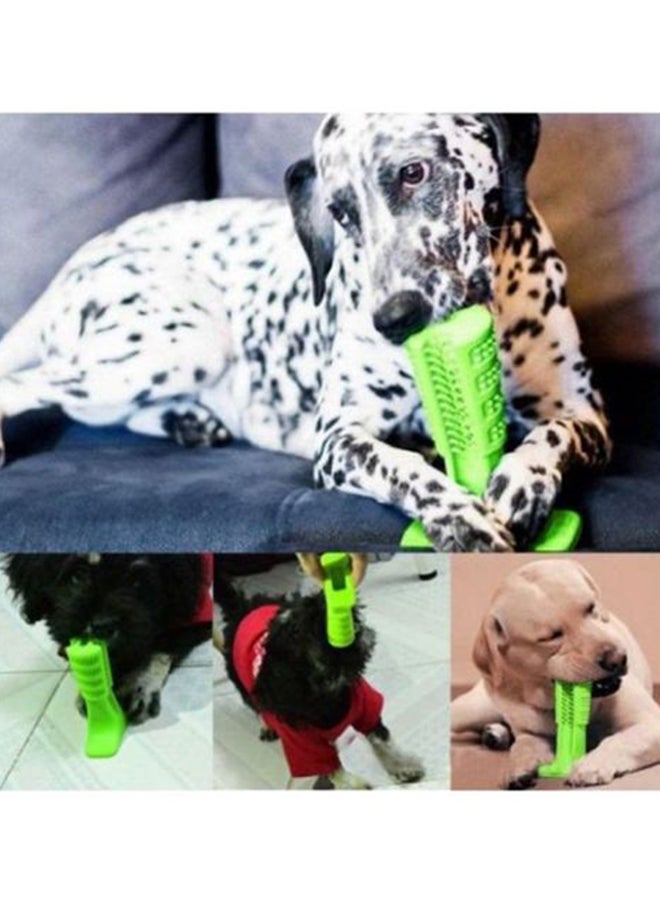 Toothbrush Stick Green - Image 3