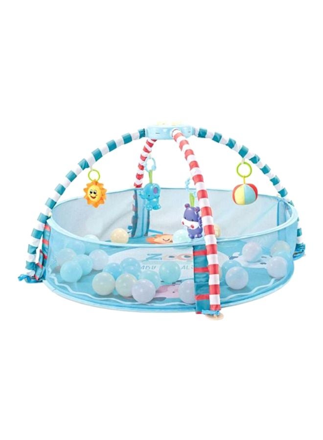 Activity Ball Pit 60x50x10cm