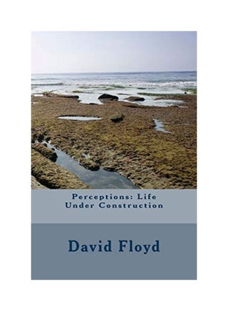 Perceptions: Life Under Construction paperback english - v1613684835/N44611929A_1