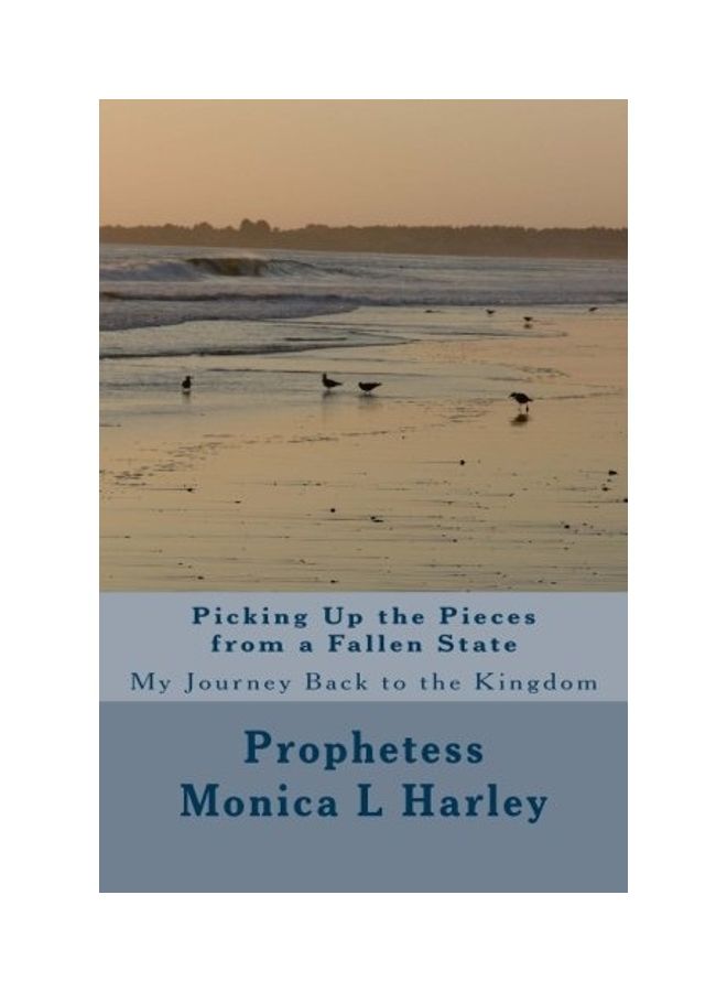 Picking Up the Pieces from A Fallen State: My Journey Back to the Kingdom paperback english 