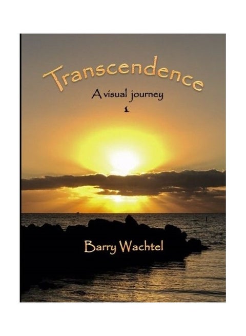 Transcendence: A Visual Journey paperback english