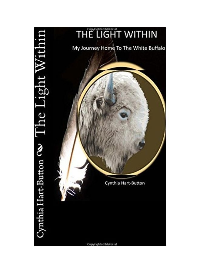 The Light Within paperback english 