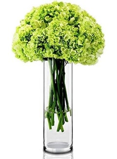 ماركة غير محددة أسطوانة من الزجاج شفاف 10 x 30سم  - Image 4