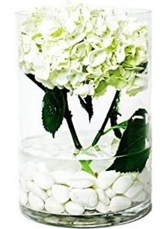 ماركة غير محددة أسطوانة من الزجاج شفاف 10 x 20سم  - Image 4