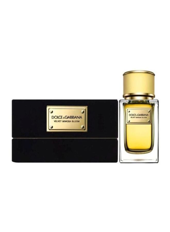 دولتشي آند غابانا عطر ميموس بوحي مخملي  - Image 2