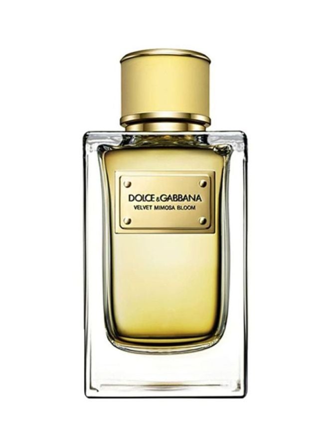دولتشي آند غابانا عطر ميموس بوحي مخملي  - Image 1
