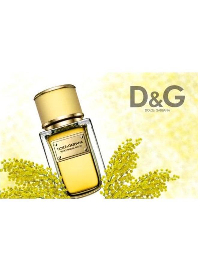 دولتشي آند غابانا عطر ميموس بوحي مخملي  - Image 4