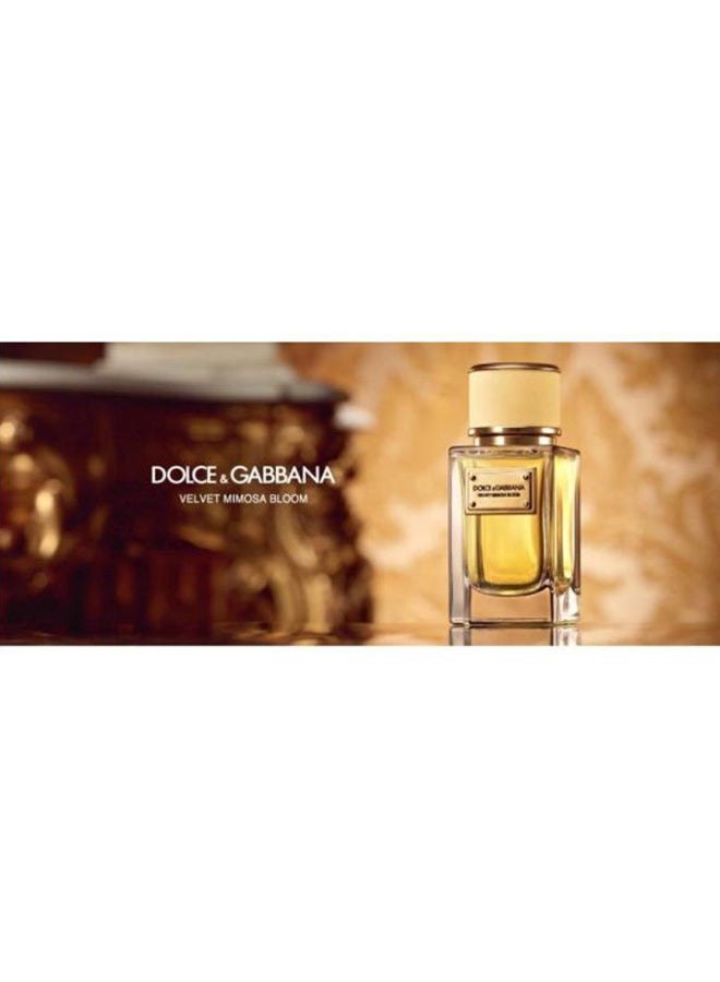 دولتشي آند غابانا عطر ميموس بوحي مخملي  - Image 5