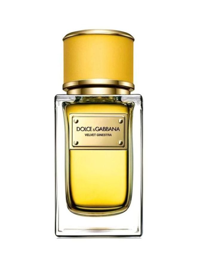 Dolce & Gabbana - Velvet Ginestra EDP 50ml - Image 1