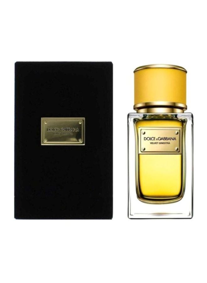 Dolce & Gabbana - Velvet Ginestra EDP 50ml - Image 1