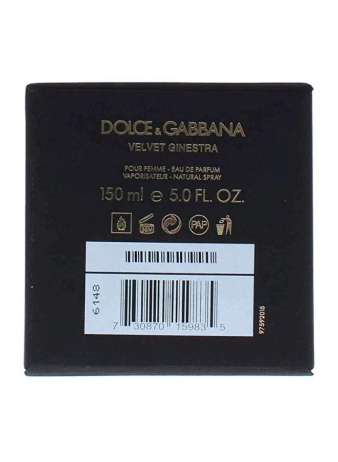 Dolce & Gabbana - Velvet Ginestra EDP 50ml - Image 1