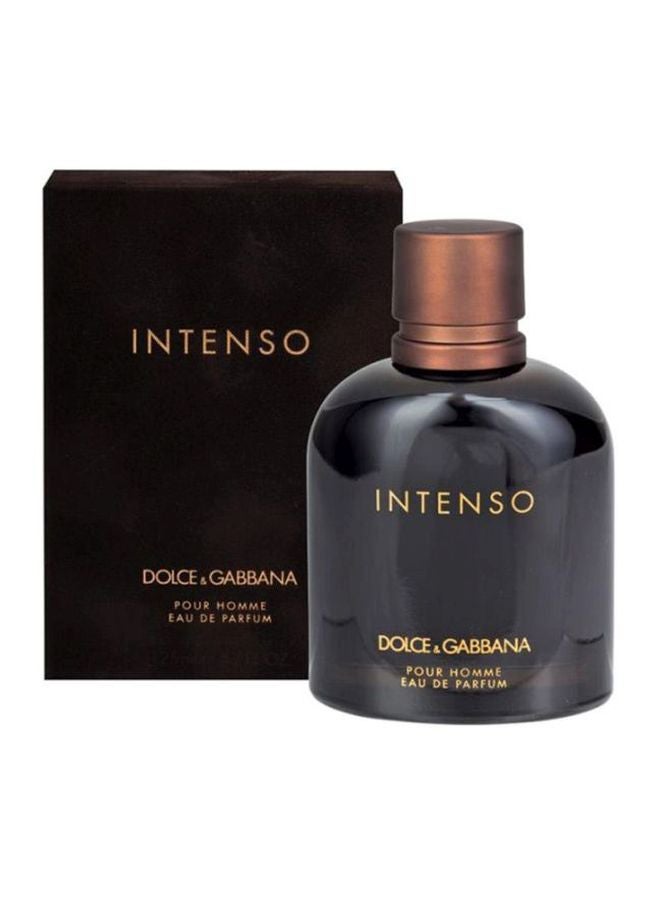 Dolce & Gabbana - Pour Homme Intenso EDP 125ml - Image 1