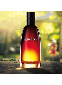 Dior Fahrenheit EDT 200ml  - Image 5