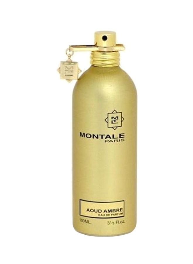 MONTALE Aoud Ambre EDP 100ml - Image 1