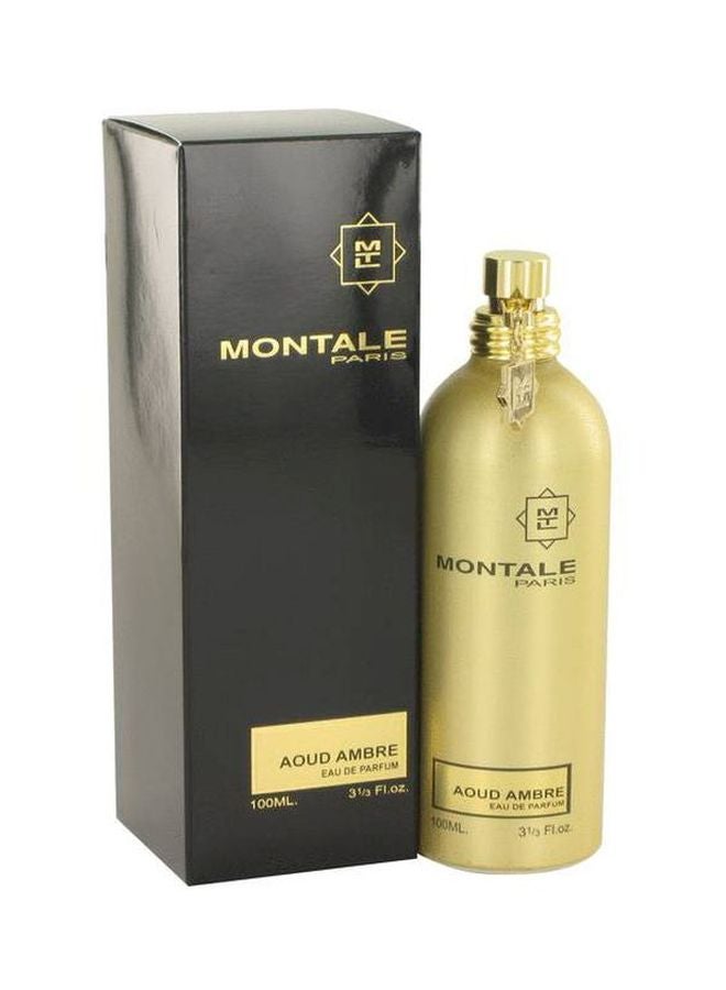 MONTALE Aoud Ambre EDP 100ml - Image 2