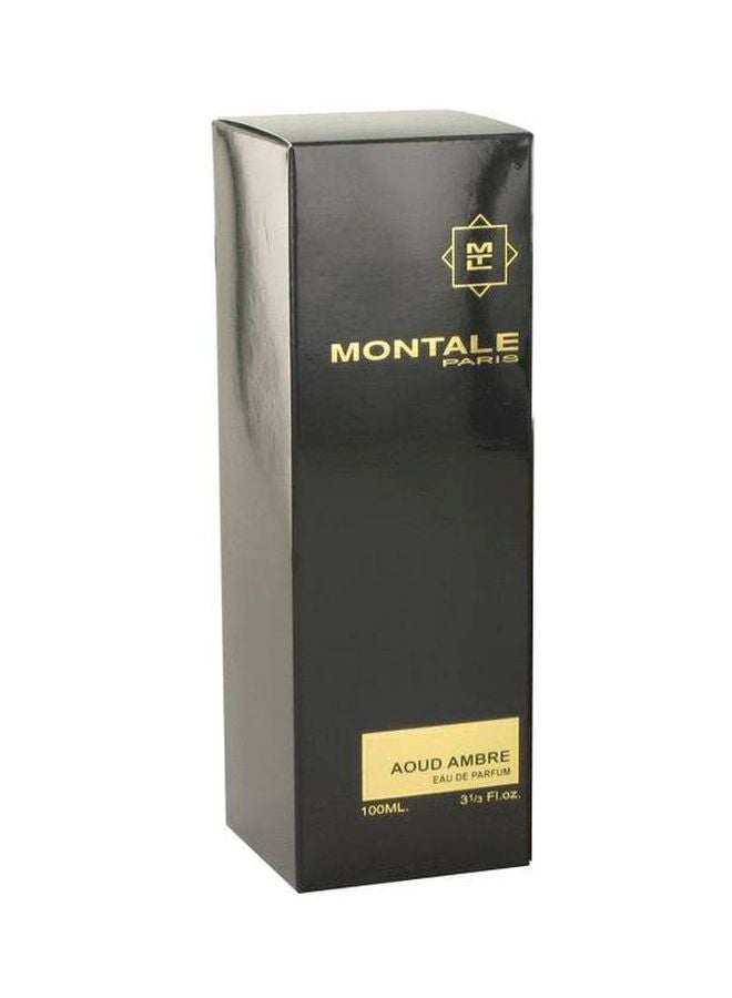 MONTALE Aoud Ambre EDP 100ml - Image 3