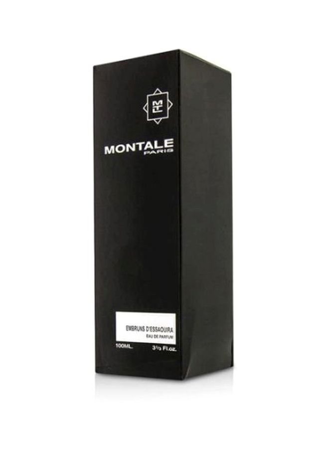MONTALE - Montale Embruns D'Essaouira (U) EDP 100ml - Image 1