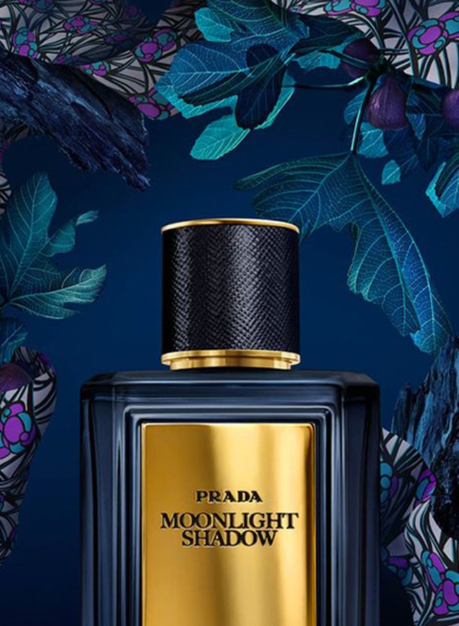برادا - عطر مون لايت شادو فيج EDP 100ملليلتر - Image 1