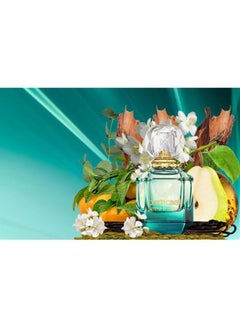 Paradisio Azzuro EDP 75ml - v1614003366/N12890689A_6